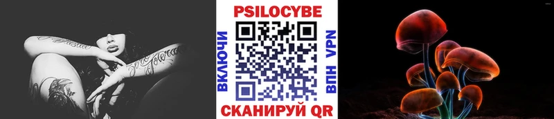 Псилоцибиновые грибы GOLDEN TEACHER  Терек 