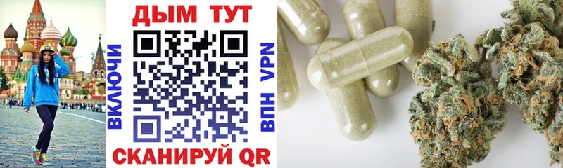Бошки Шишки марихуана  купить   Терек 